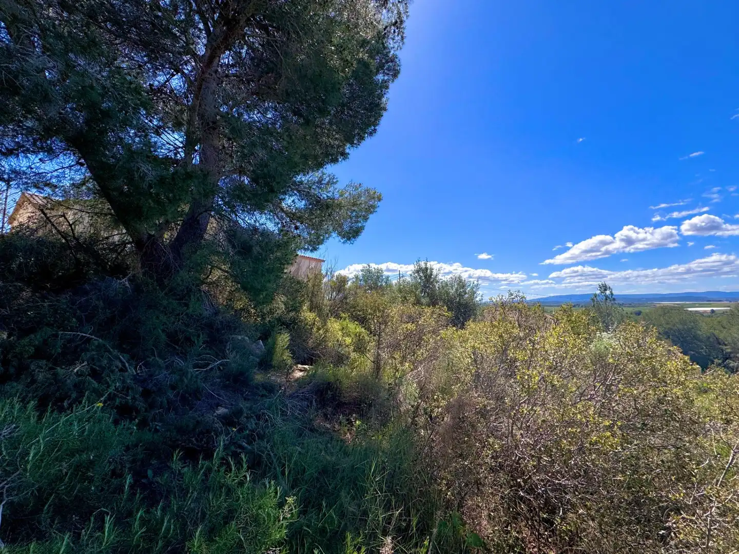 Residential land for sale in Calle FOIA DE BUNYOL, imagen 9
