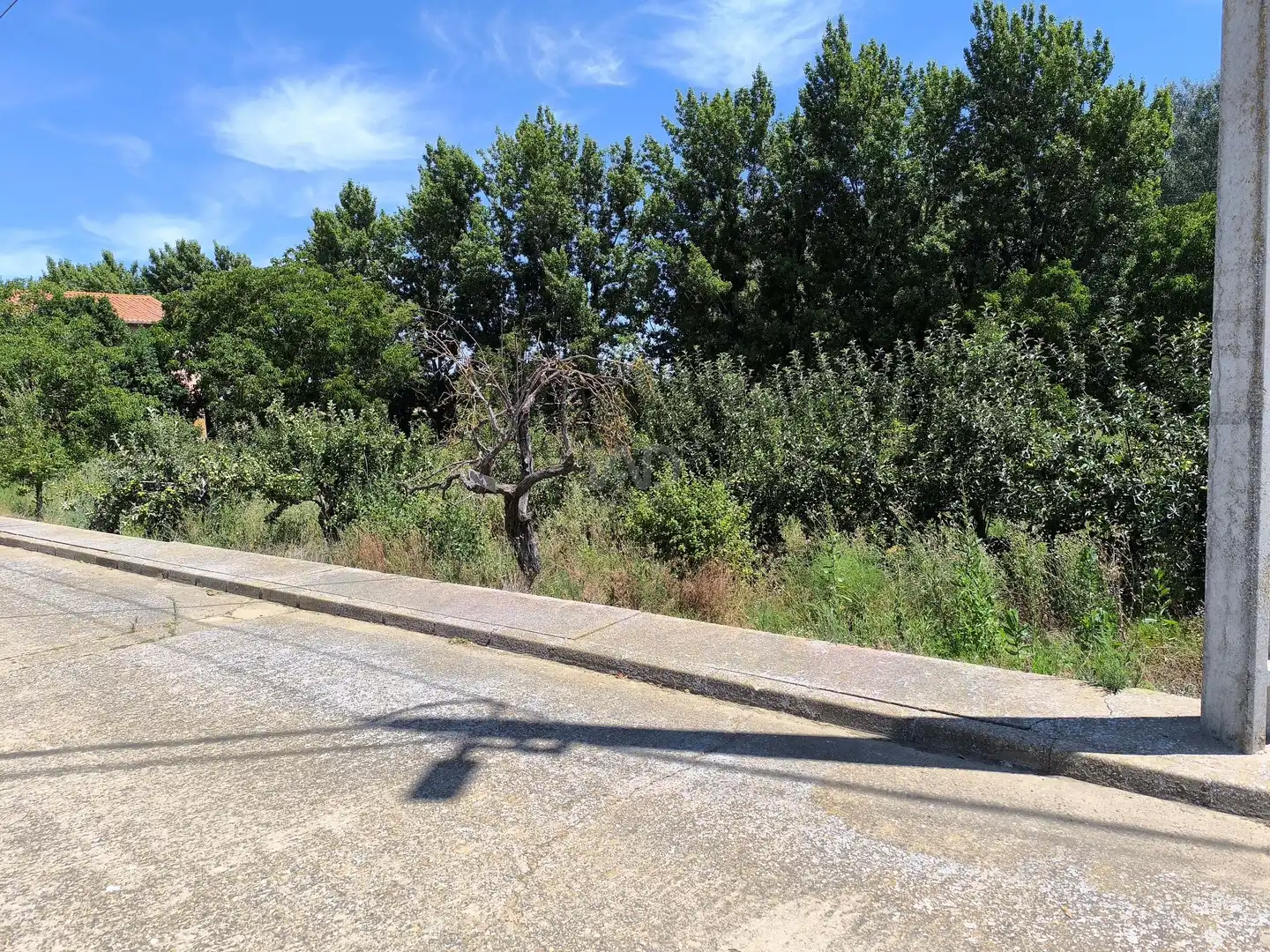 Residencial en venta en San Millán de los Caballeros