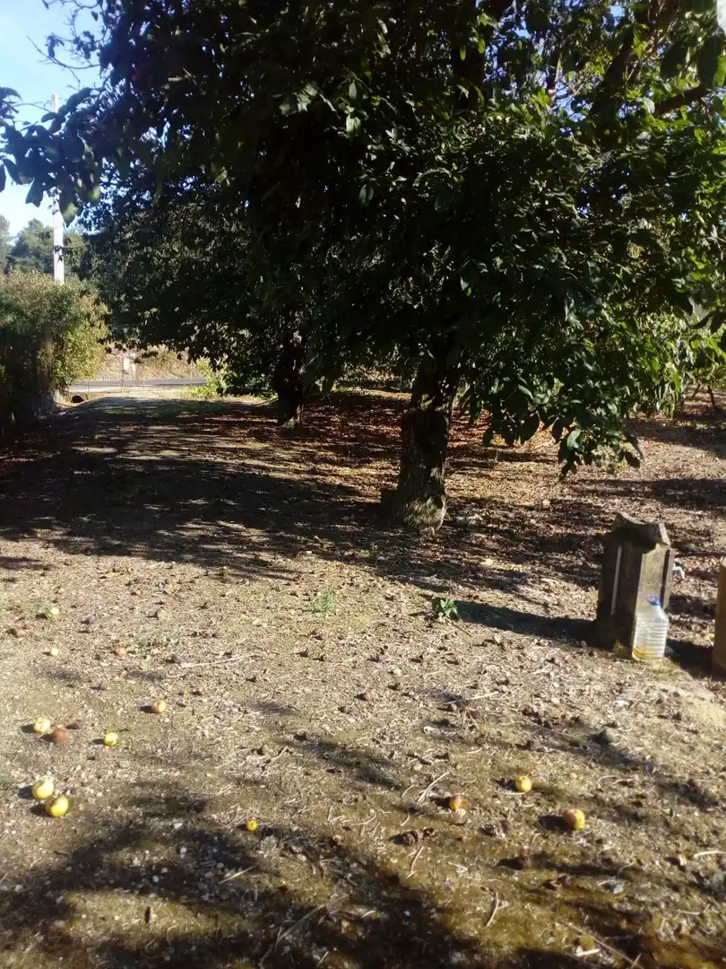Xalet amb terrassa en venda a Camino Camino de la Regueira, imagen 19