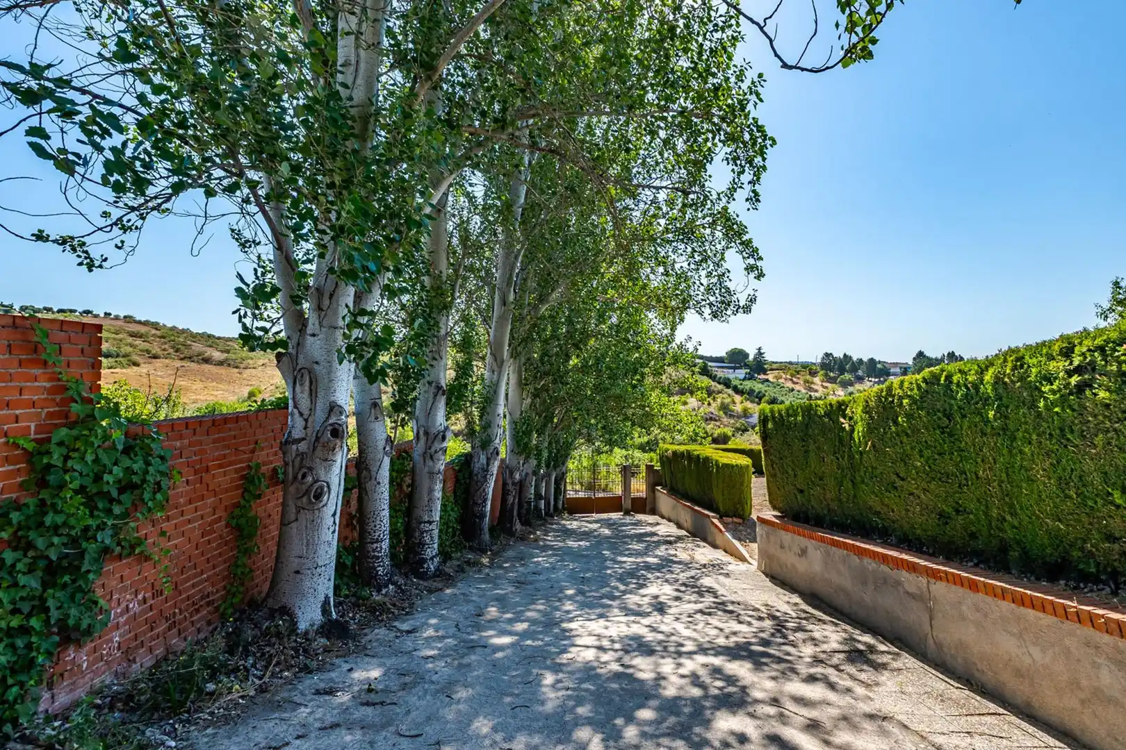 Vista exterior de Casa o chalet en venta en Mesegar de Tajo con Piscina y Amueblado