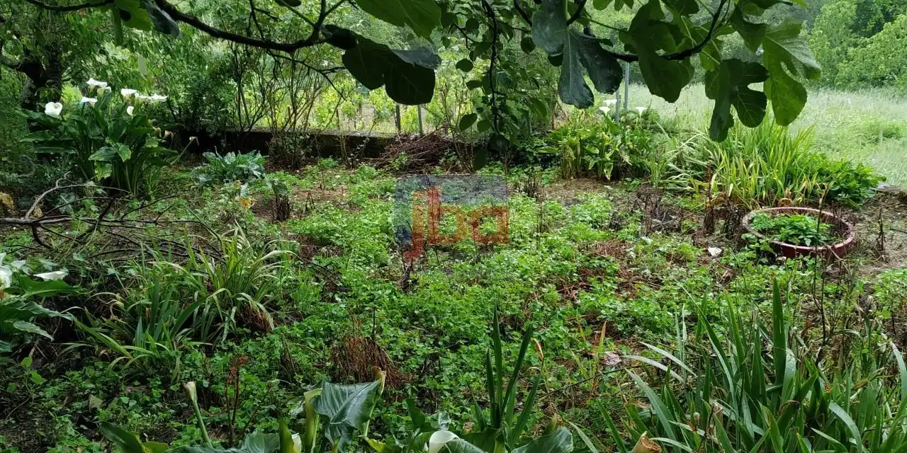 Casa o chalet en venta en Castrelo de Miño con Calefacción y Amueblado