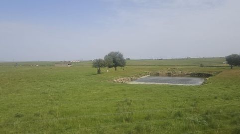 Photo 2 of Land for sale in Sierra de Fuentes, Cáceres