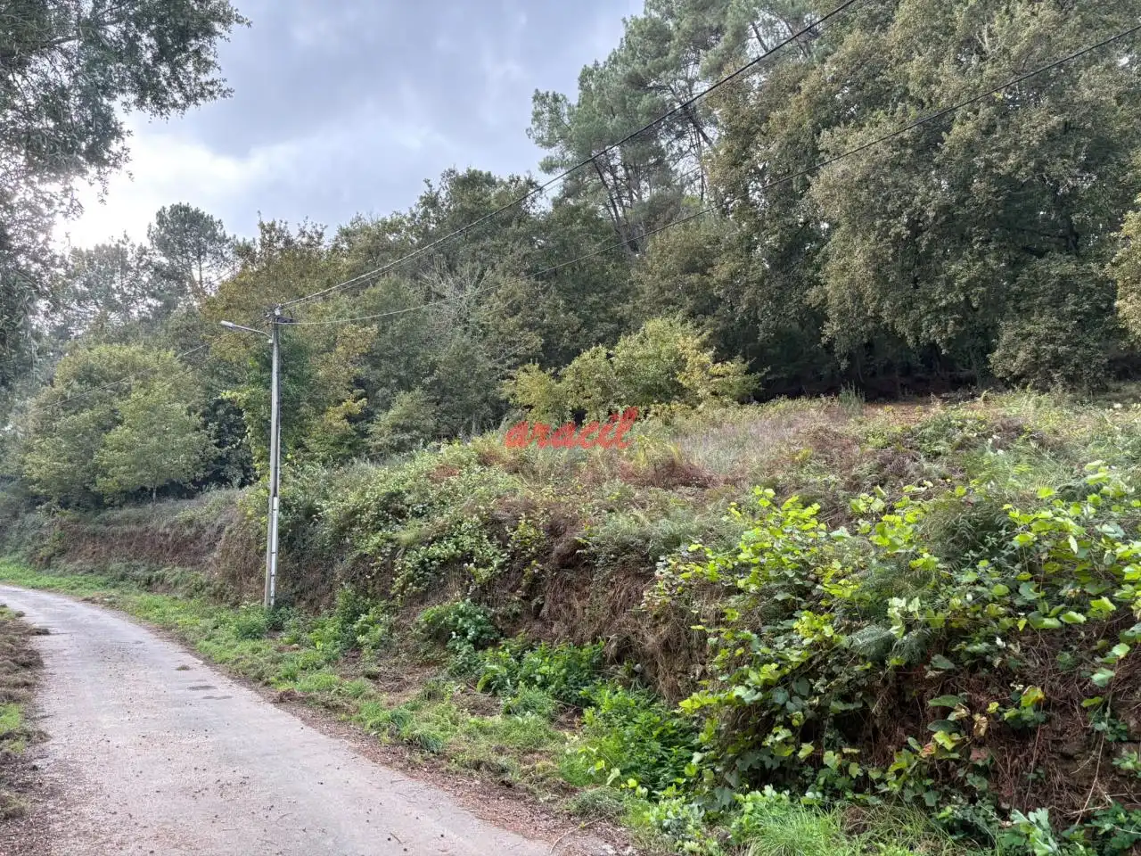 Wohnbaugrundstück zum Verkauf in Barbadás