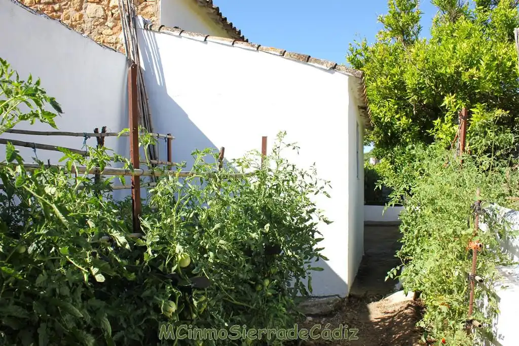 Casa o chalet en venta en de Cádiz, Algodonales