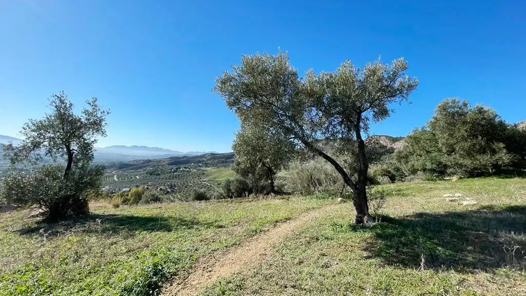 Terreny residencial en venda a Álora