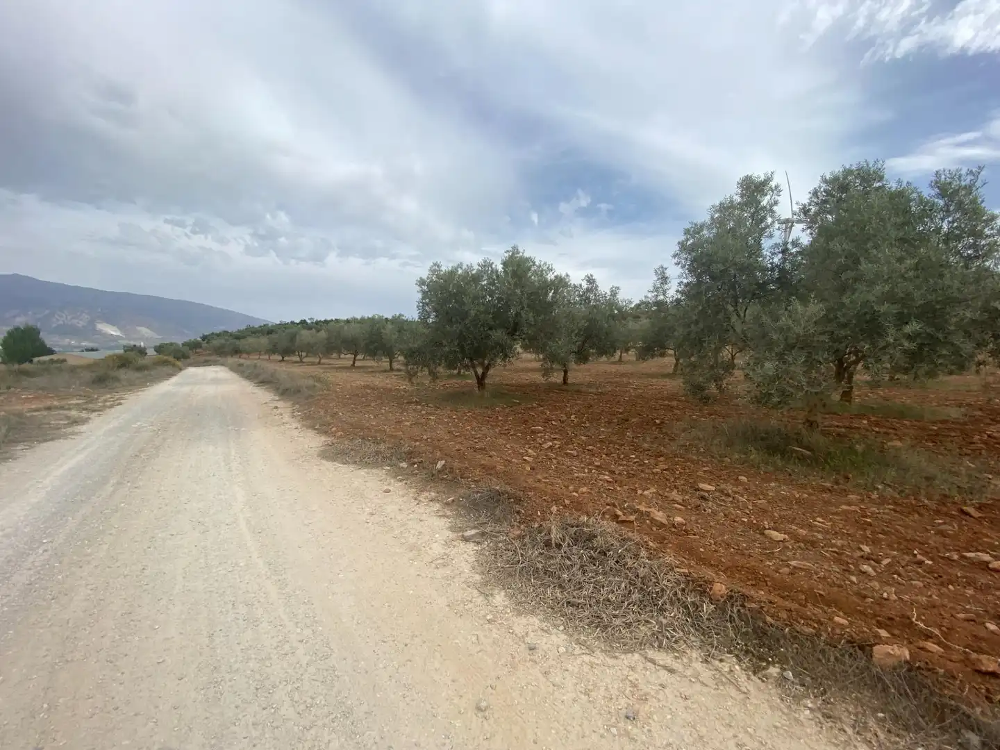 Rustikales Grundstück zum Verkauf in Polígono Polígono 16 Parcela 646 CAÑADA DE ZALDIVAR. PADU, imagen 26
