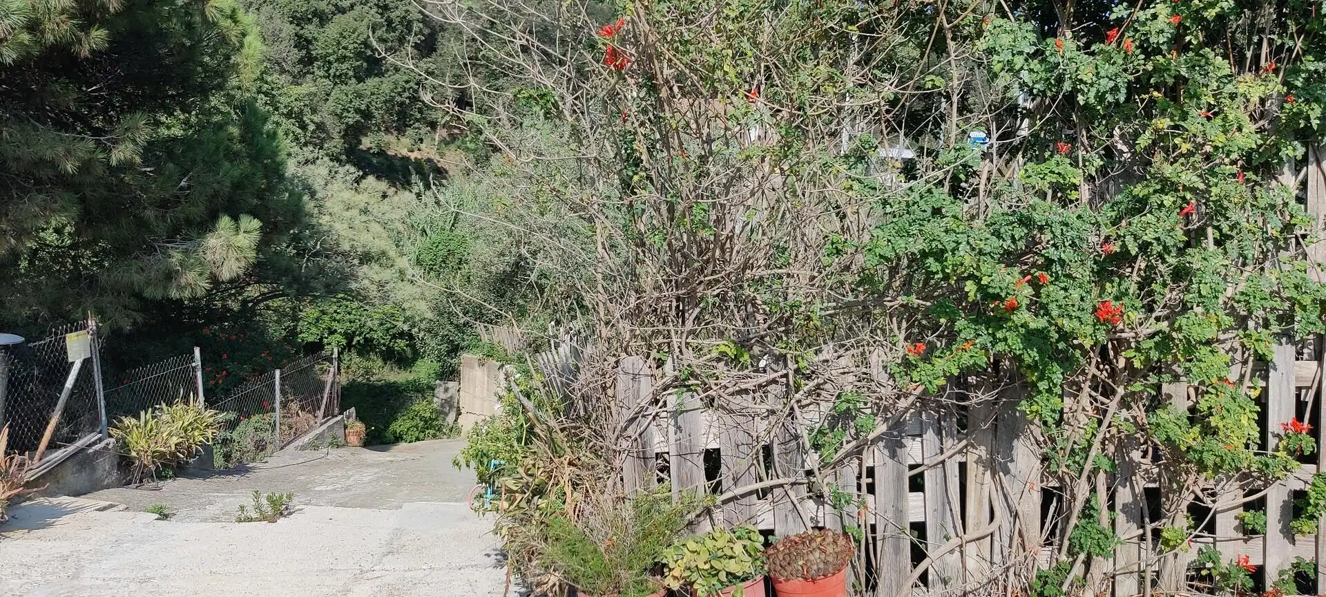 Terreno residenziale in vendita a Can Massuet del Far, imagen 14