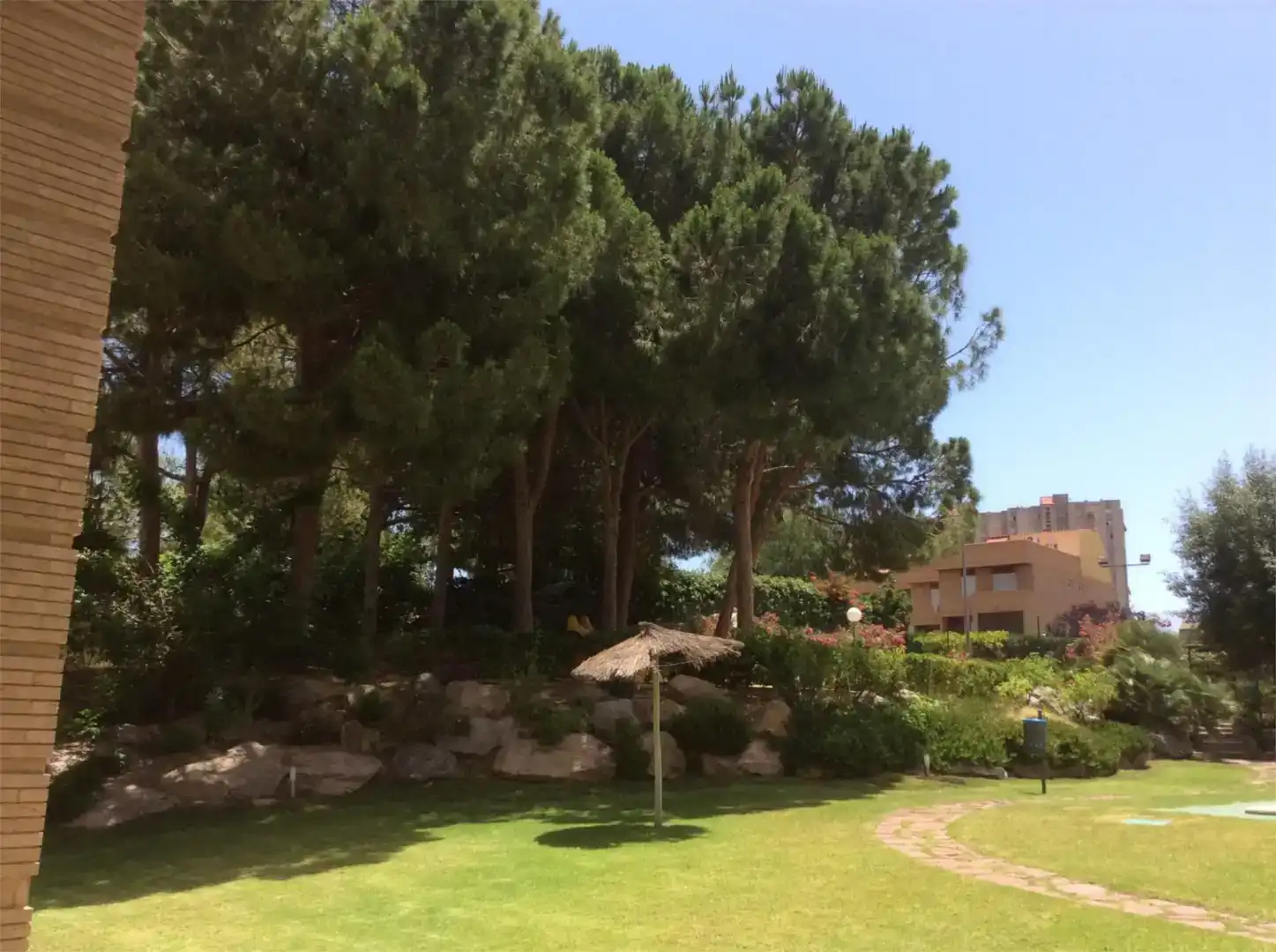 Jardí de Apartament de lloguer en Playa de San Juan - El Cabo de las Huertas