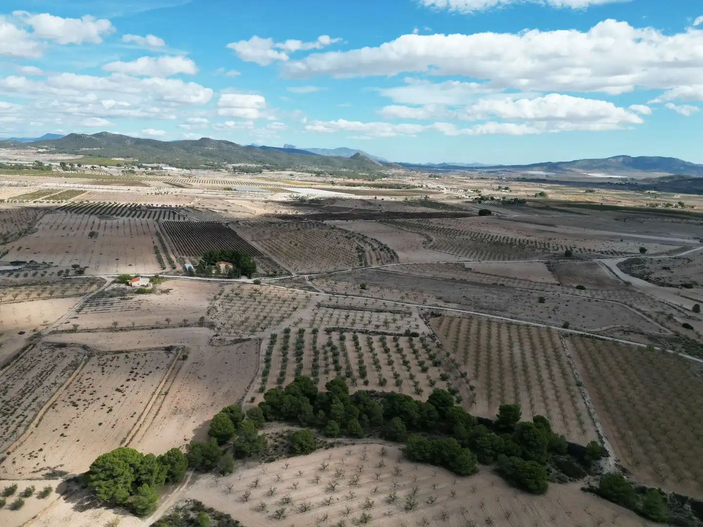 Terreno residencial en venta en El Pinós / Pinoso, imagen 2