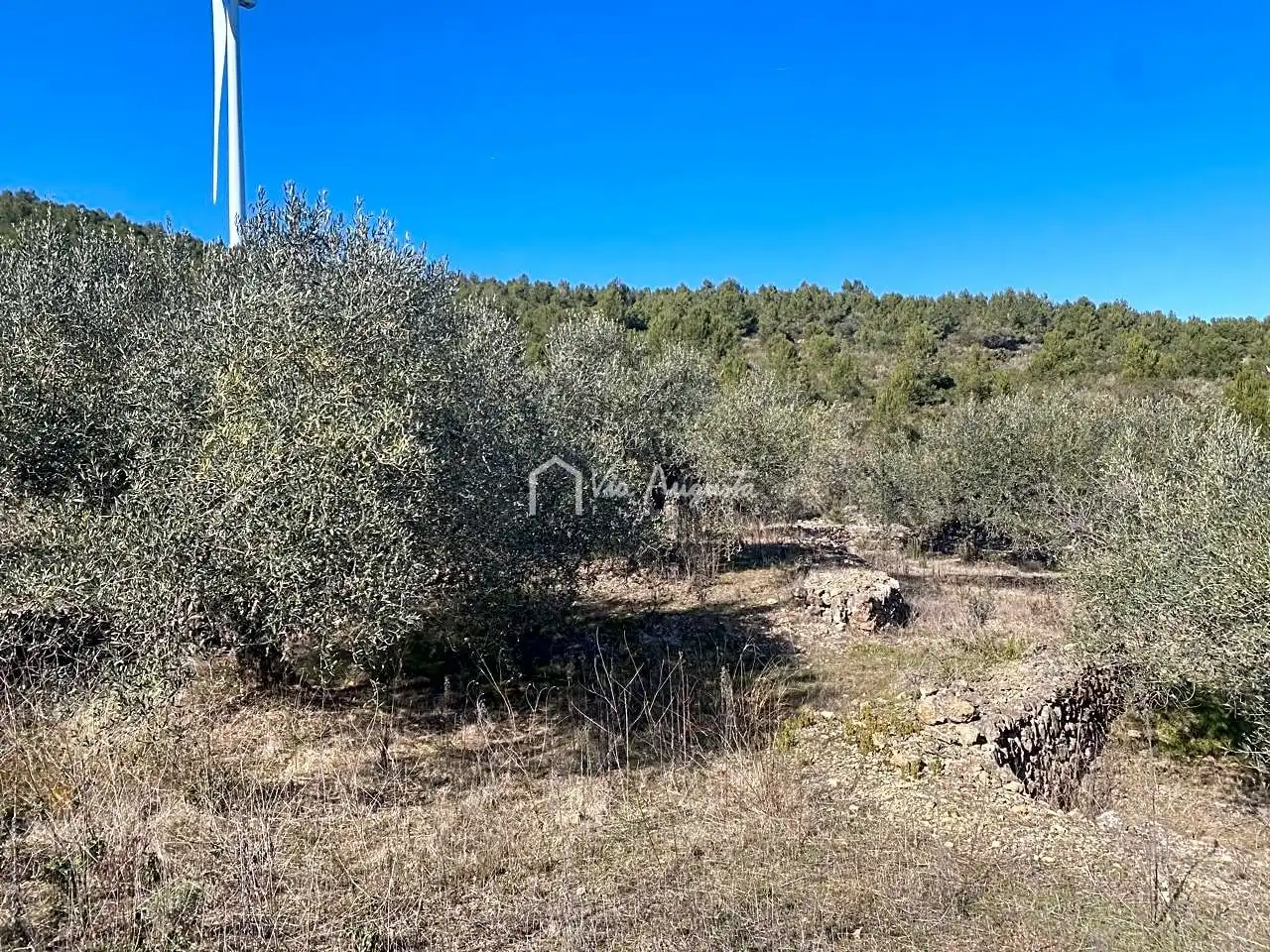 Terrain rustique à vendre à Calobres, imagen 12