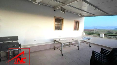 Foto 3 de Finca rústica en venta en Lebrija, Sevilla