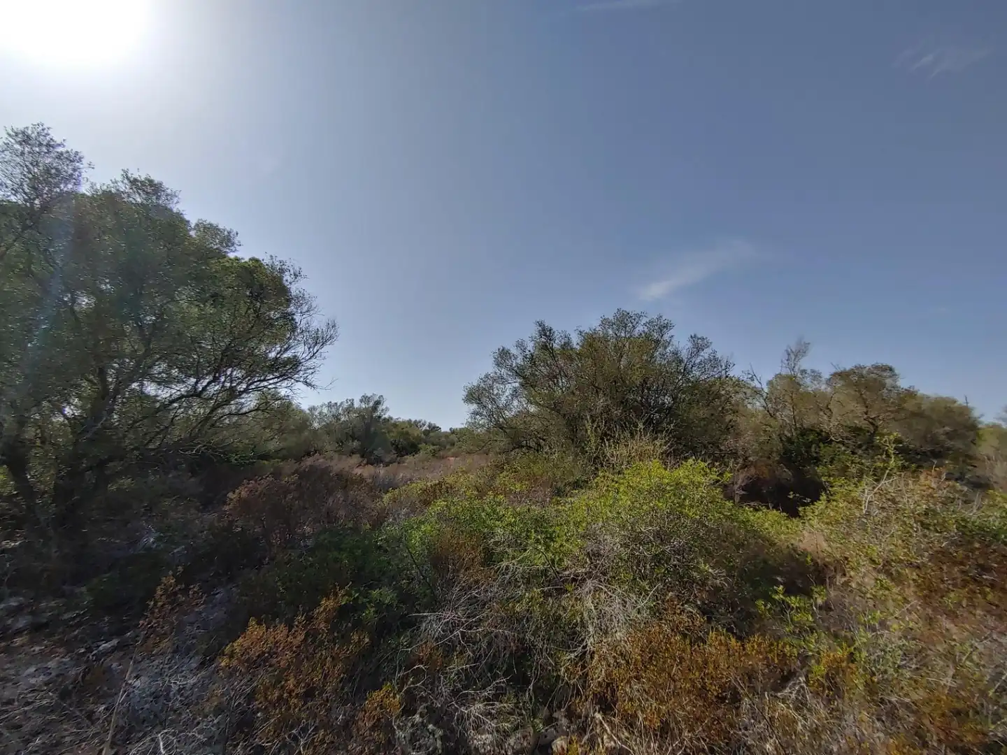 Residencial en venta en Polígono Parcela 12, Cala Pi - Vallgornera