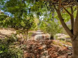 Garden of Houses for sale in Playa del Cura - Taurito