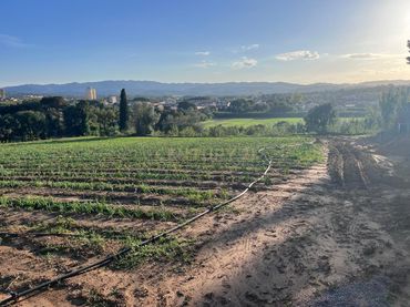 Pis en venda a Castell d'Empordà, Spain 0