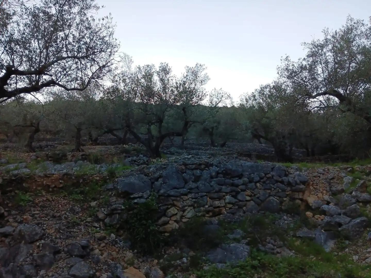 Terrenys i solars en venda a Ferreries, imagen 15