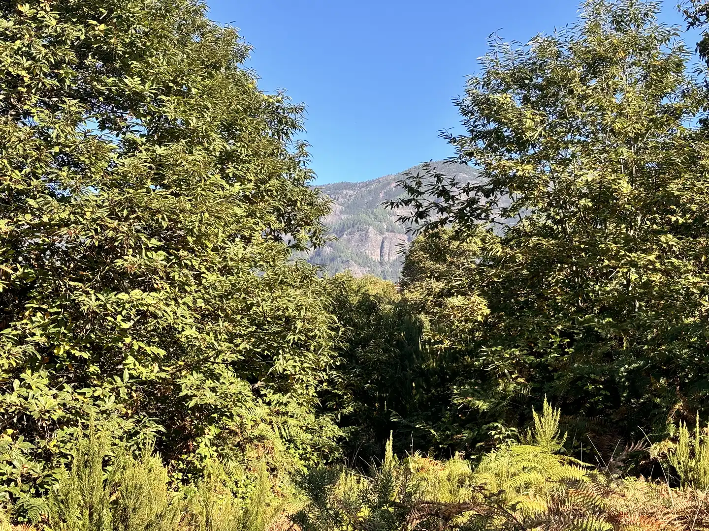 Terreno rustico in vendita a Lugar el Balayo, imagen 9