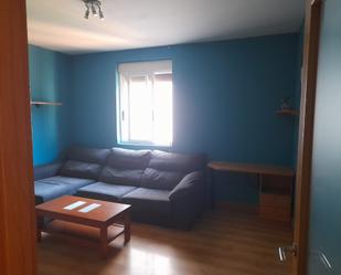 Sala d'estar de Pis en venda en Asteasu