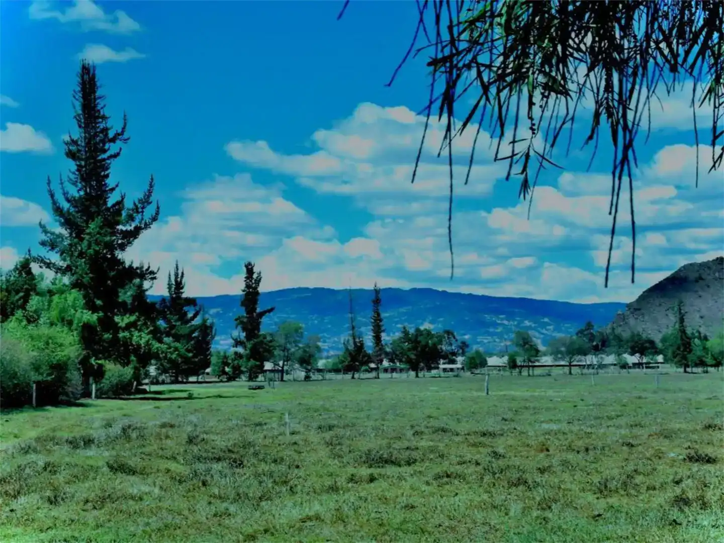 Finca rústica en venda en Rota amb Traster i Moblat