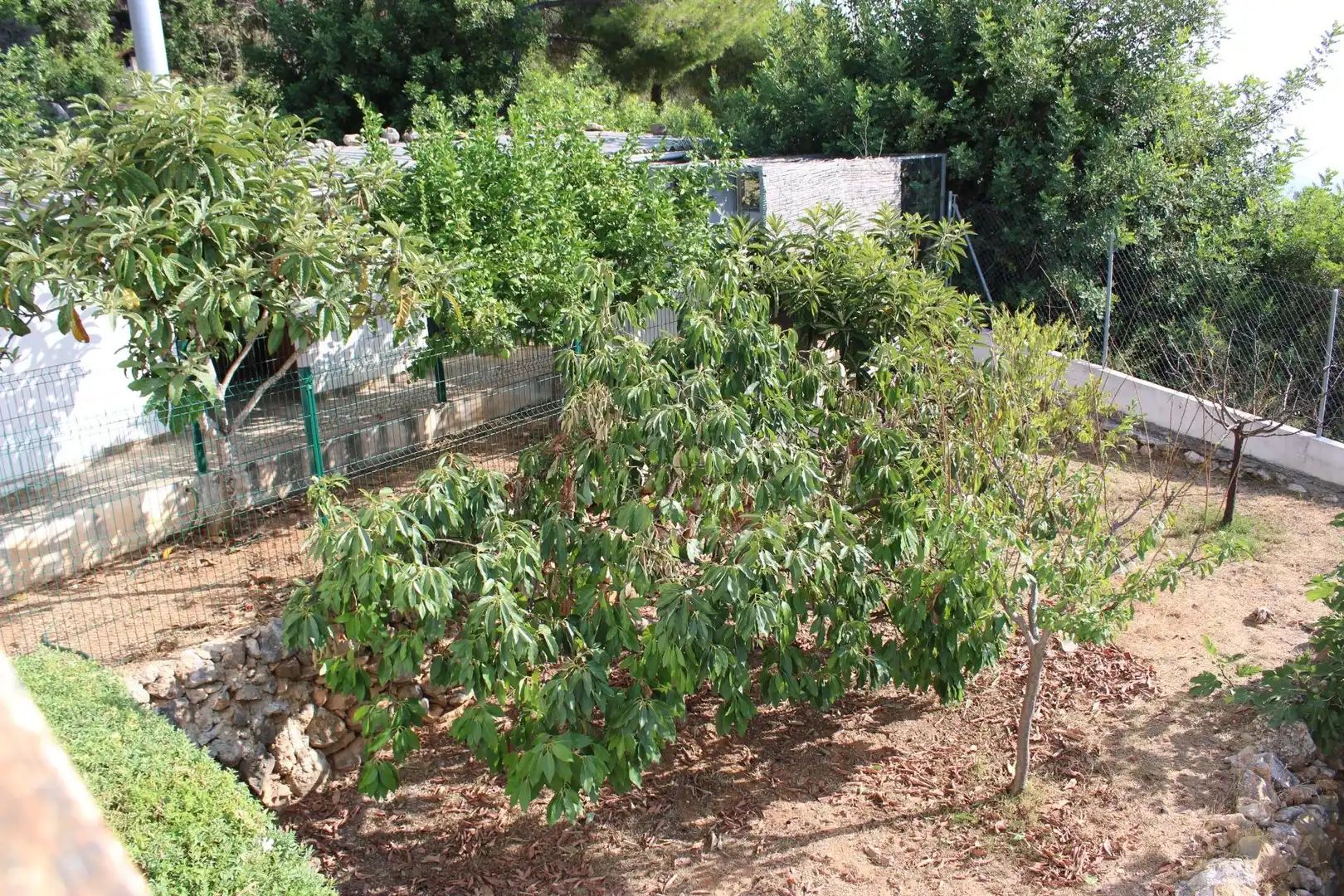 Villa à vendre à Oliva pueblo, imagen 28