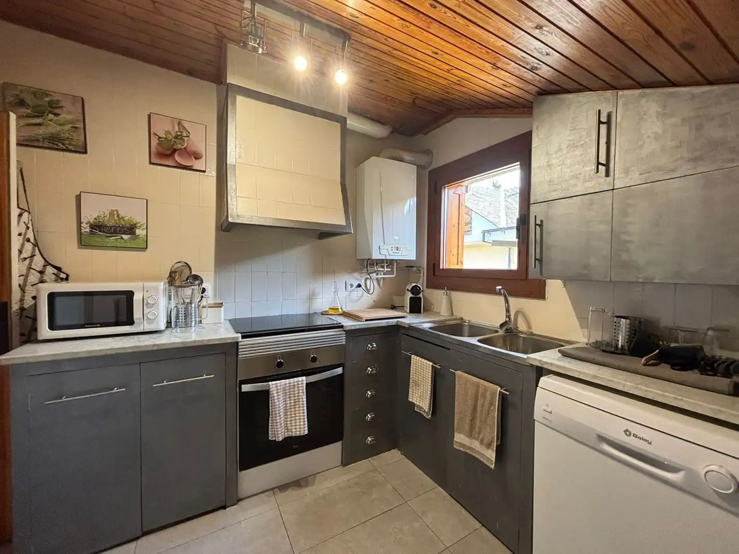 Cuina de Apartament de lloguer en Alp amb Calefacció i Moblat