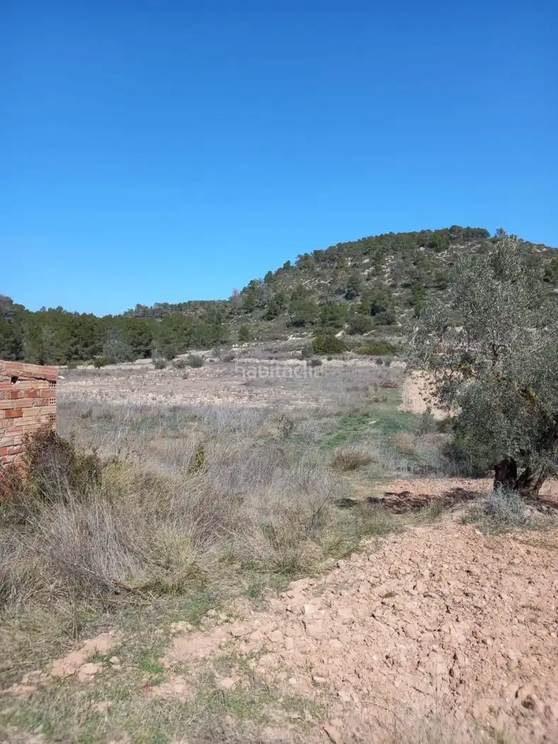 Rustikales Grundstück zum Verkauf in Carrer de l'Església 35, imagen 11