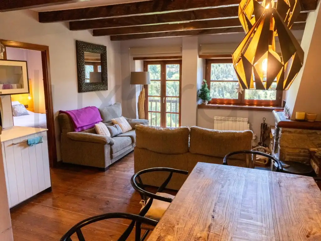 Sala d'estar de Apartament en venda en Naut Aran