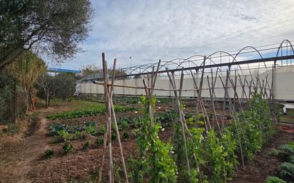 Garden of Land for sale in Gavà