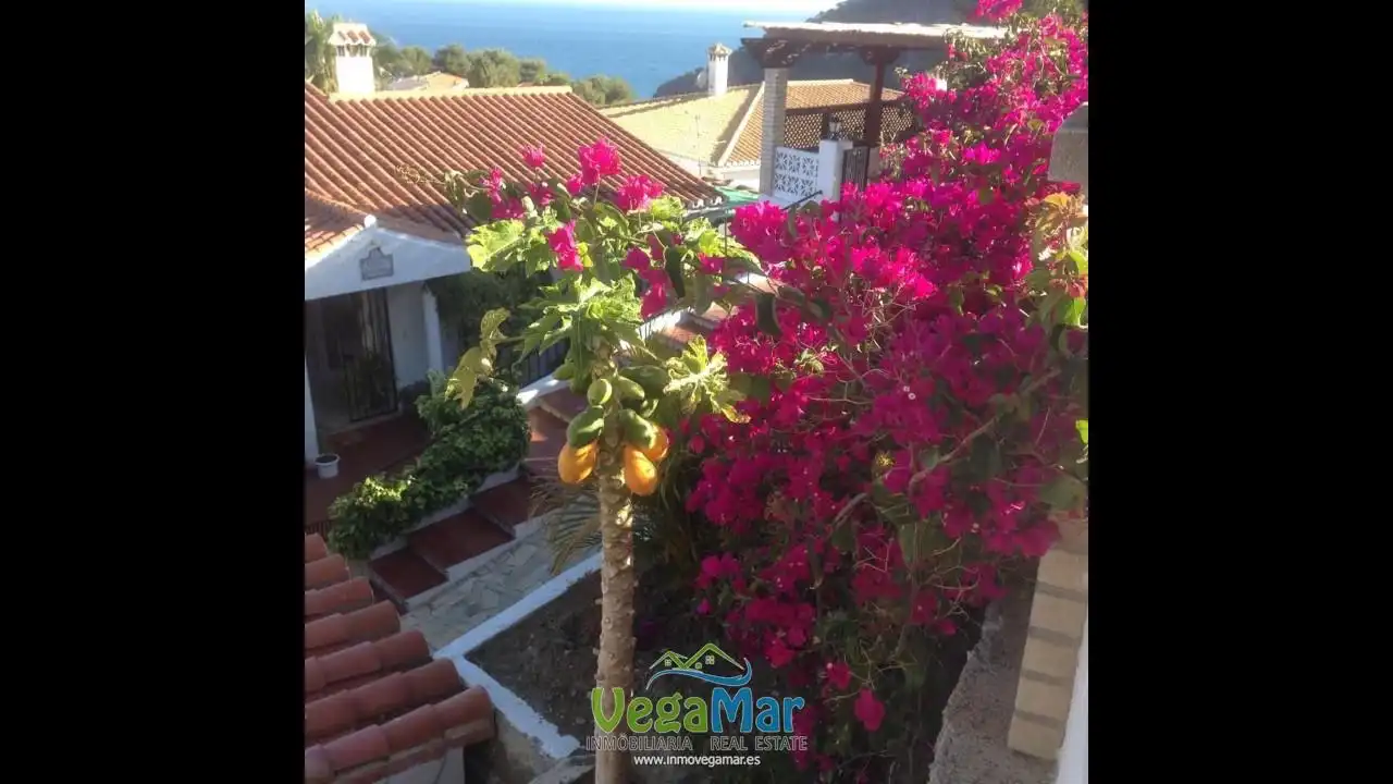 Vista exterior de Casa o chalet en venta en Almuñécar con Jardín privado y Terraza