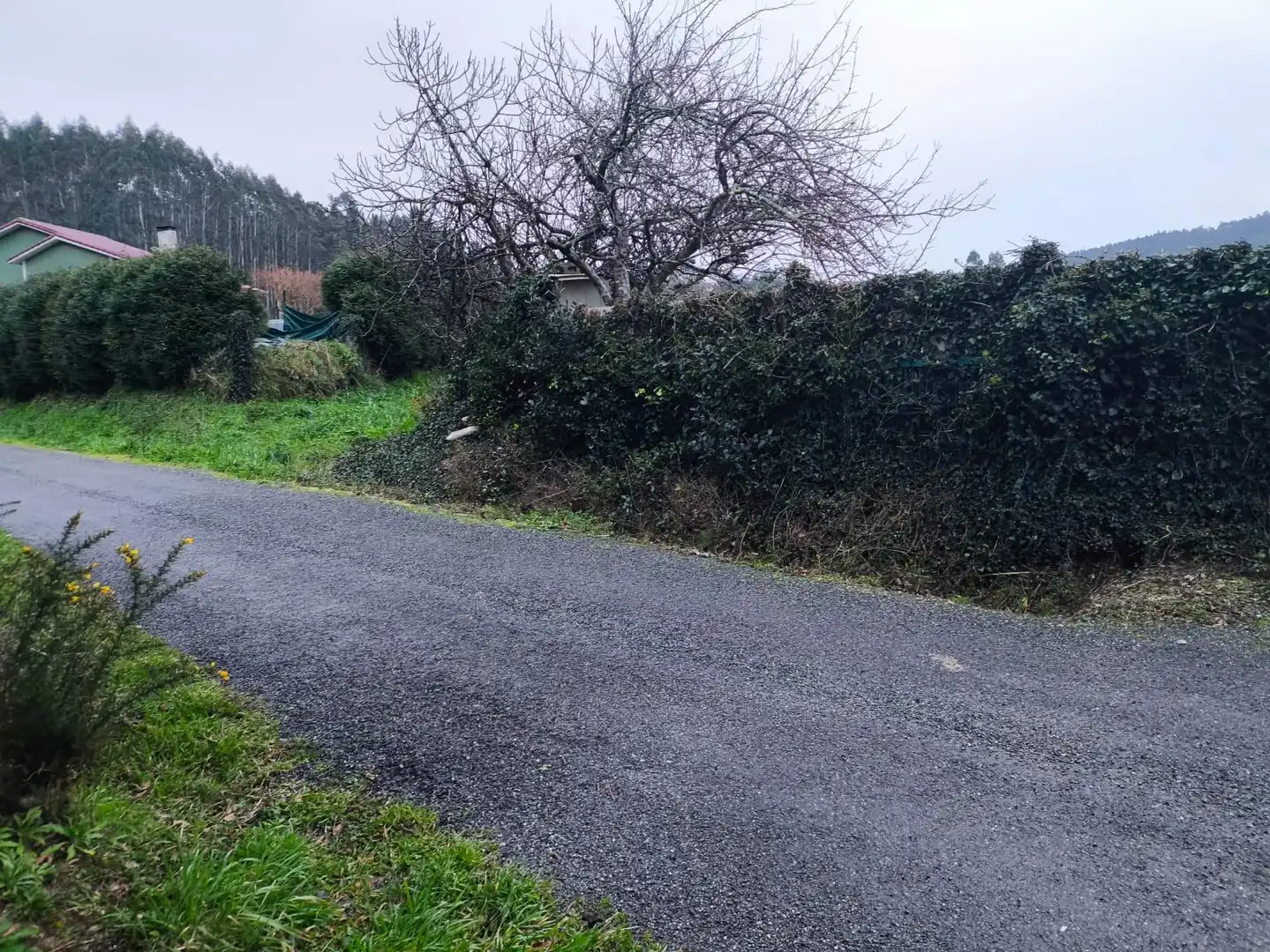 Terreni e lotti in vendita a Lugar VIVENTE, imagen 6