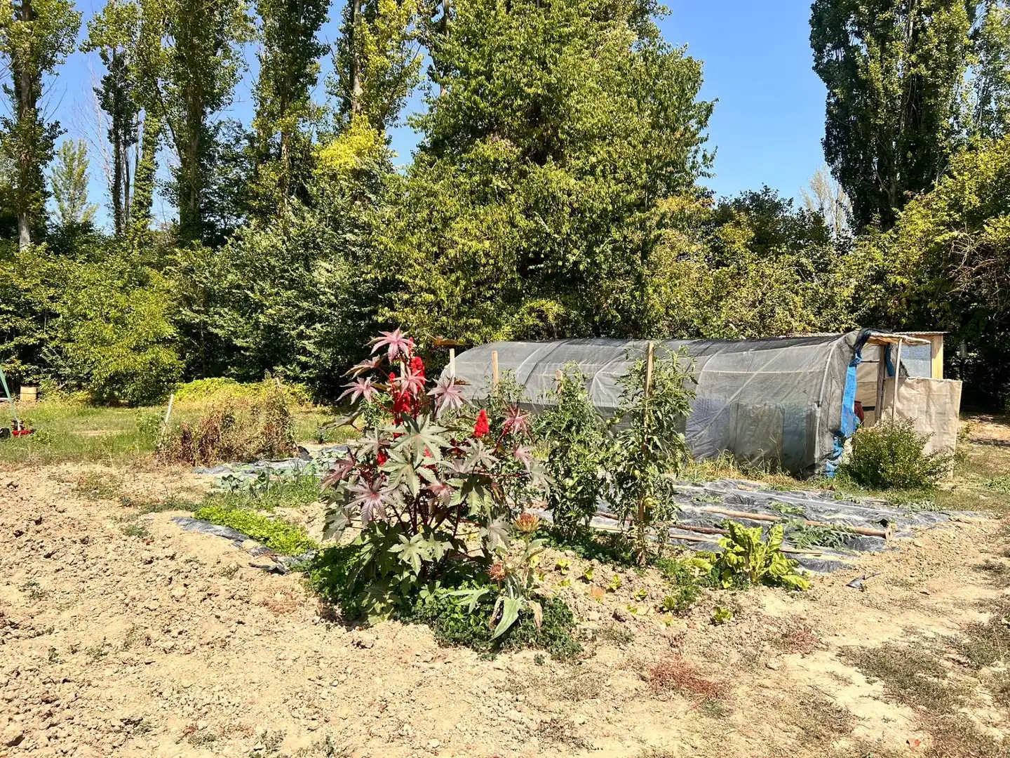 Terreno rústico en venta en Urroz-Villa, imagen 2