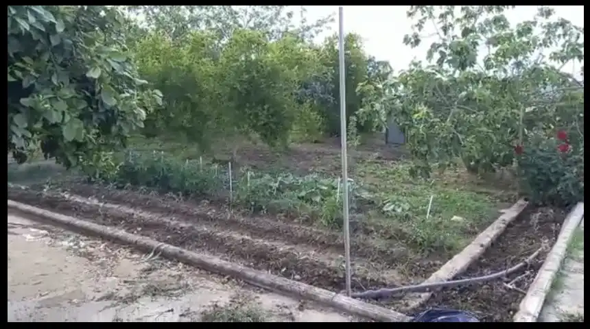 Casa amb jardí en venda a Almodóvar del Río, imagen 6