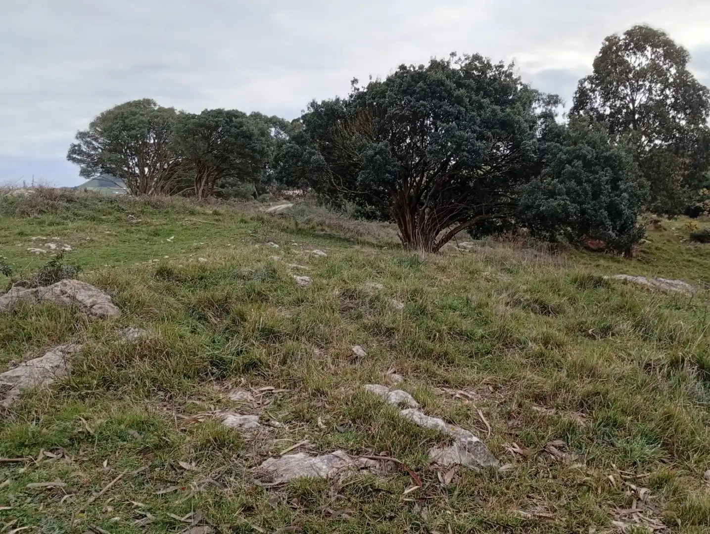Lands and plots for sale in Cuchía, imagen 8