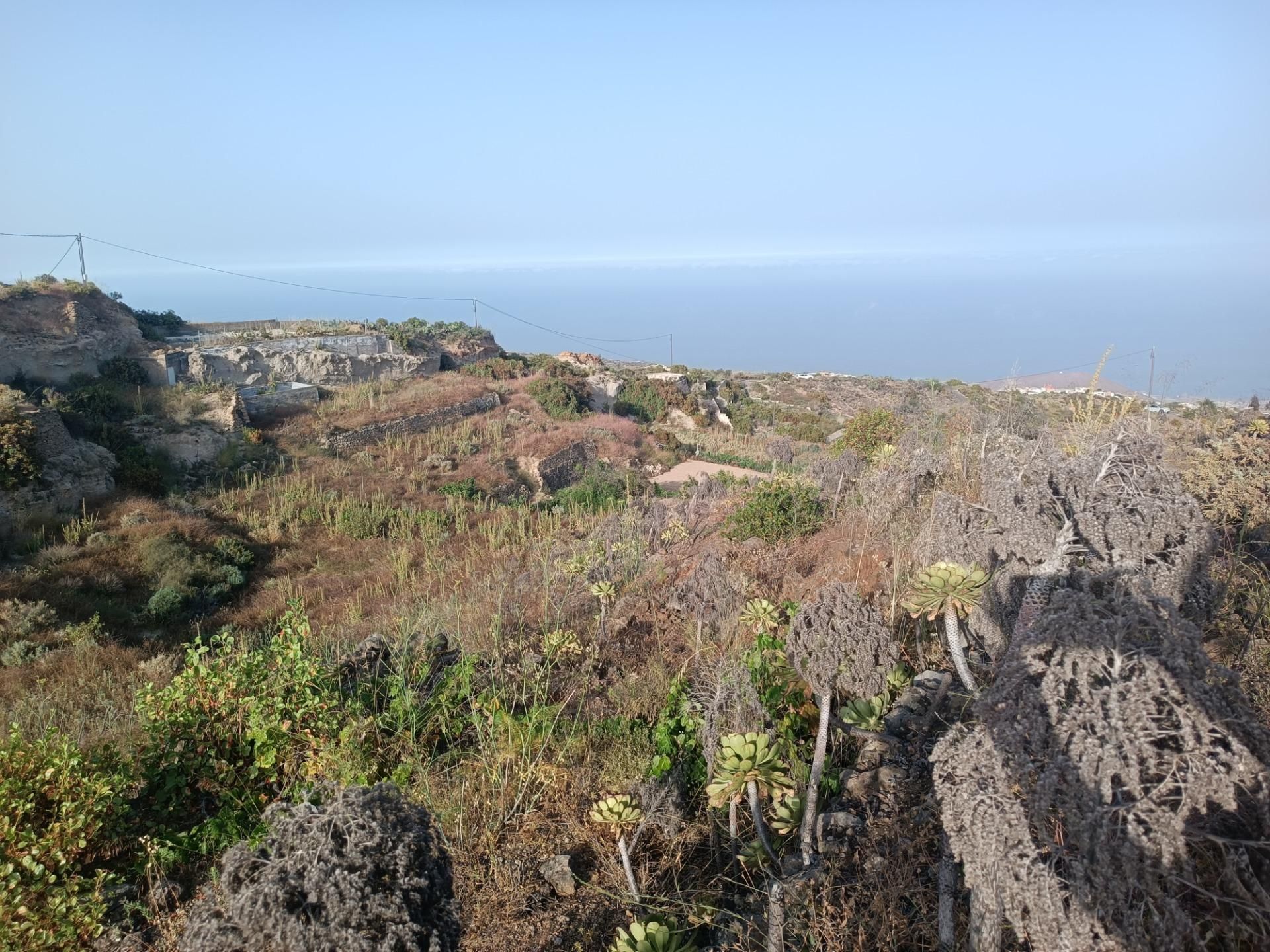 Vista exterior de Terreno en venta en Fasnia