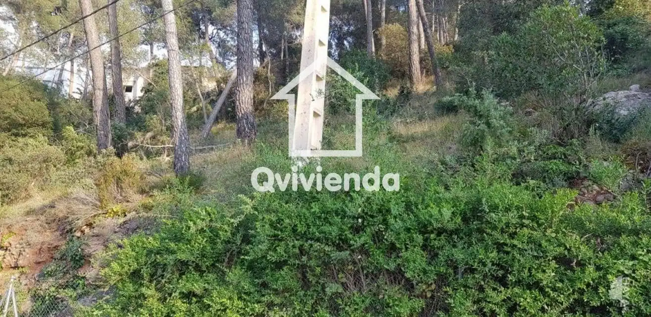 Terreny rústic en venda a Bullidors, imagen 4