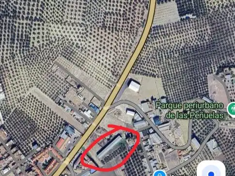 Geschaftsraum zur Miete in Encinas Reales mit Terrasse