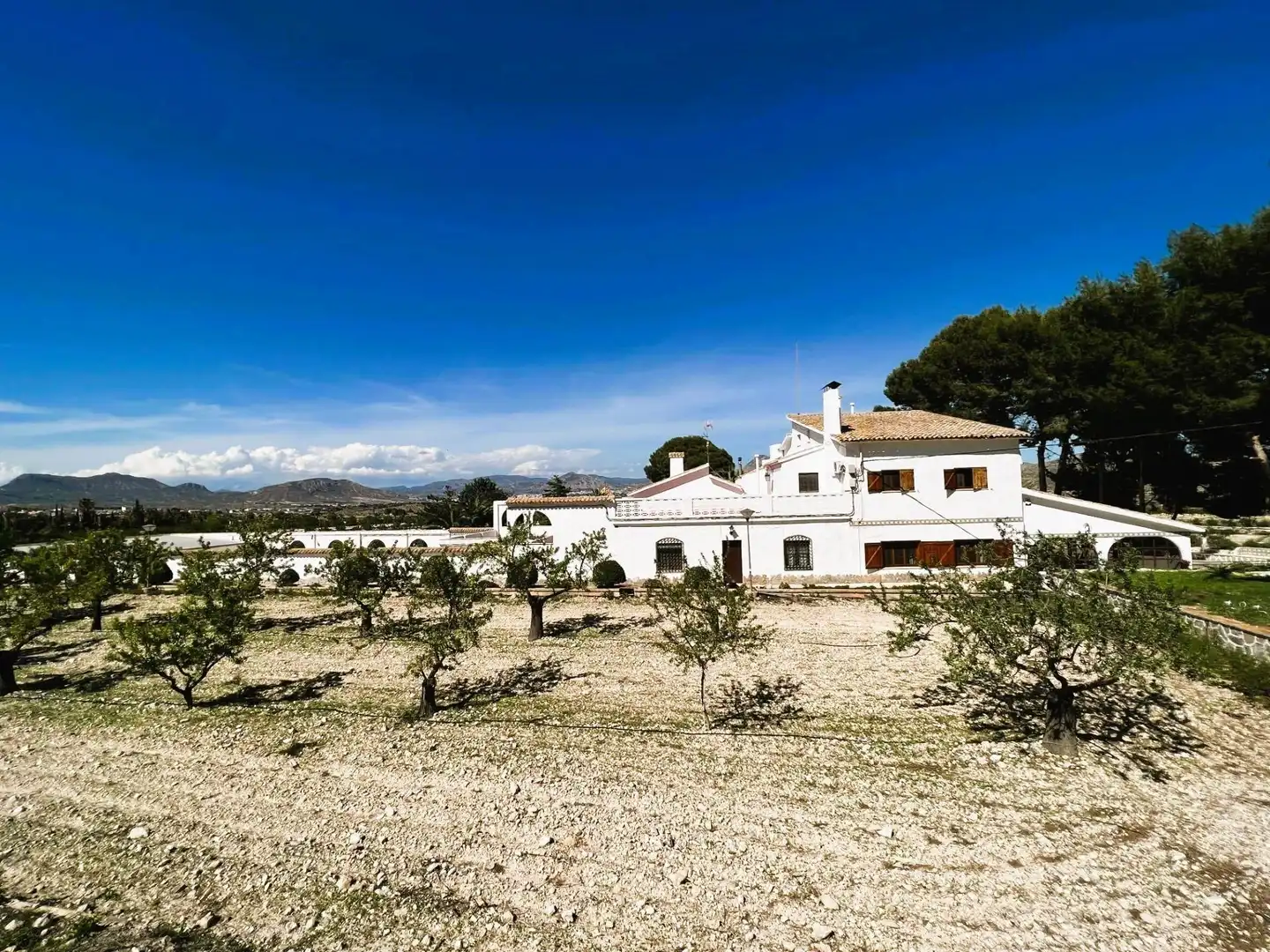 Vista exterior de Finca rústica en venta en Monóvar  / Monòver con Aire acondicionado, Calefacción y Jardín privado