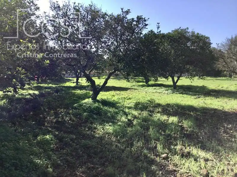 Terreny rústic en venda a Loreto, imagen 7