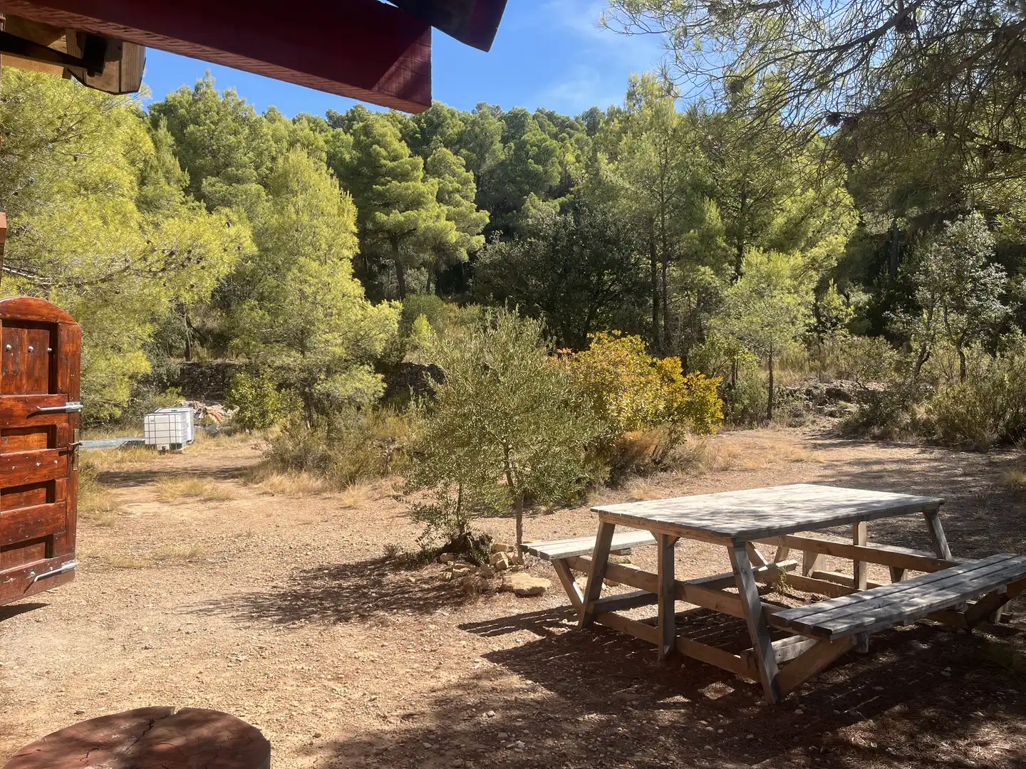 Jardín de Finca rústica en venta en La Pobla de Cérvoles, Lleida