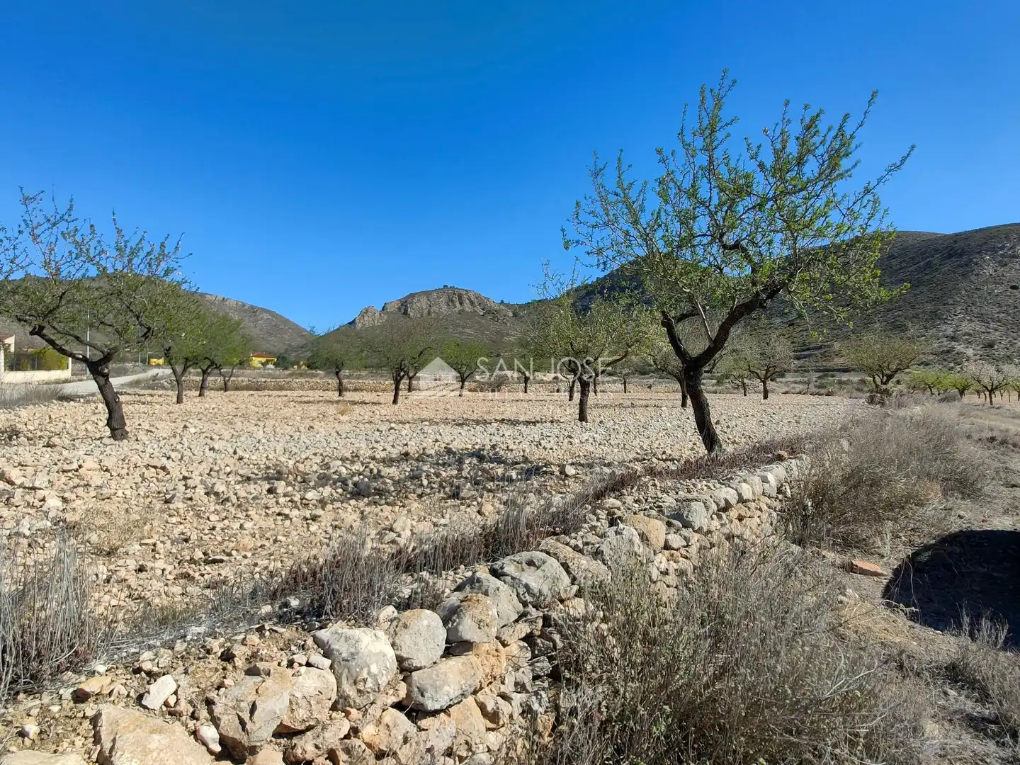 Terreno rustico in vendita a La Murada - Los Vicentes, imagen 4