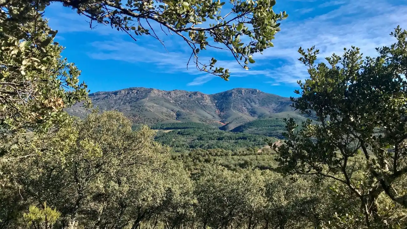 Vista exterior de Casa o chalet en venta en Los Navalucillos con Aire acondicionado, Calefacción y Jardín privado