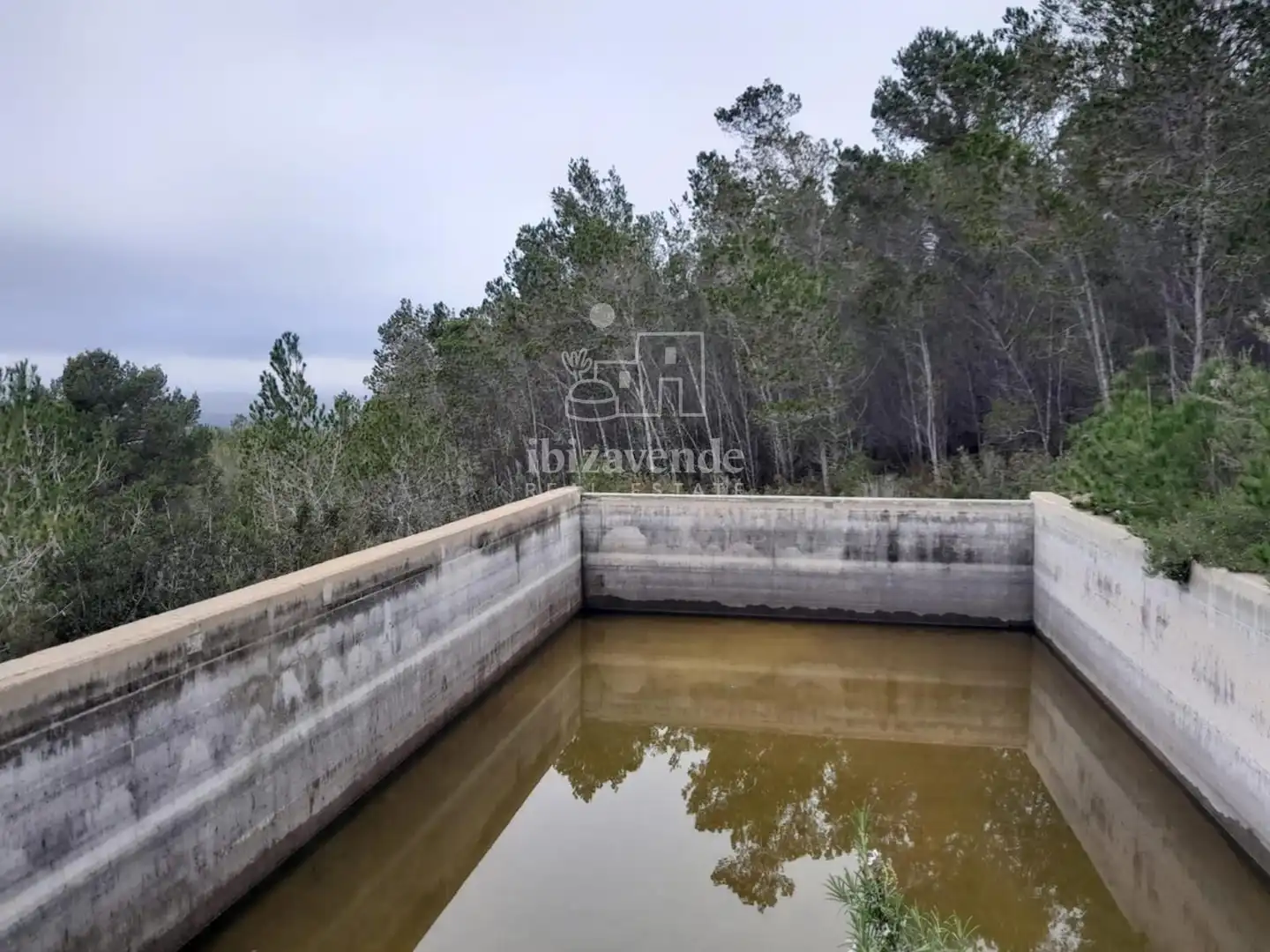 Casa o xalet en venda en Santa Eulària des Riu amb Jardí privat