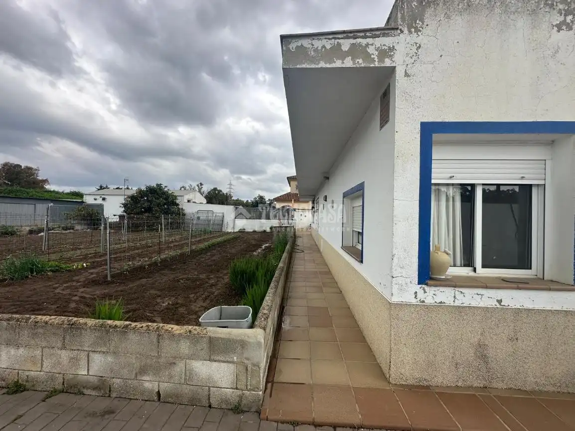 Exterior view of Houses for sale in El Puerto de Santa María