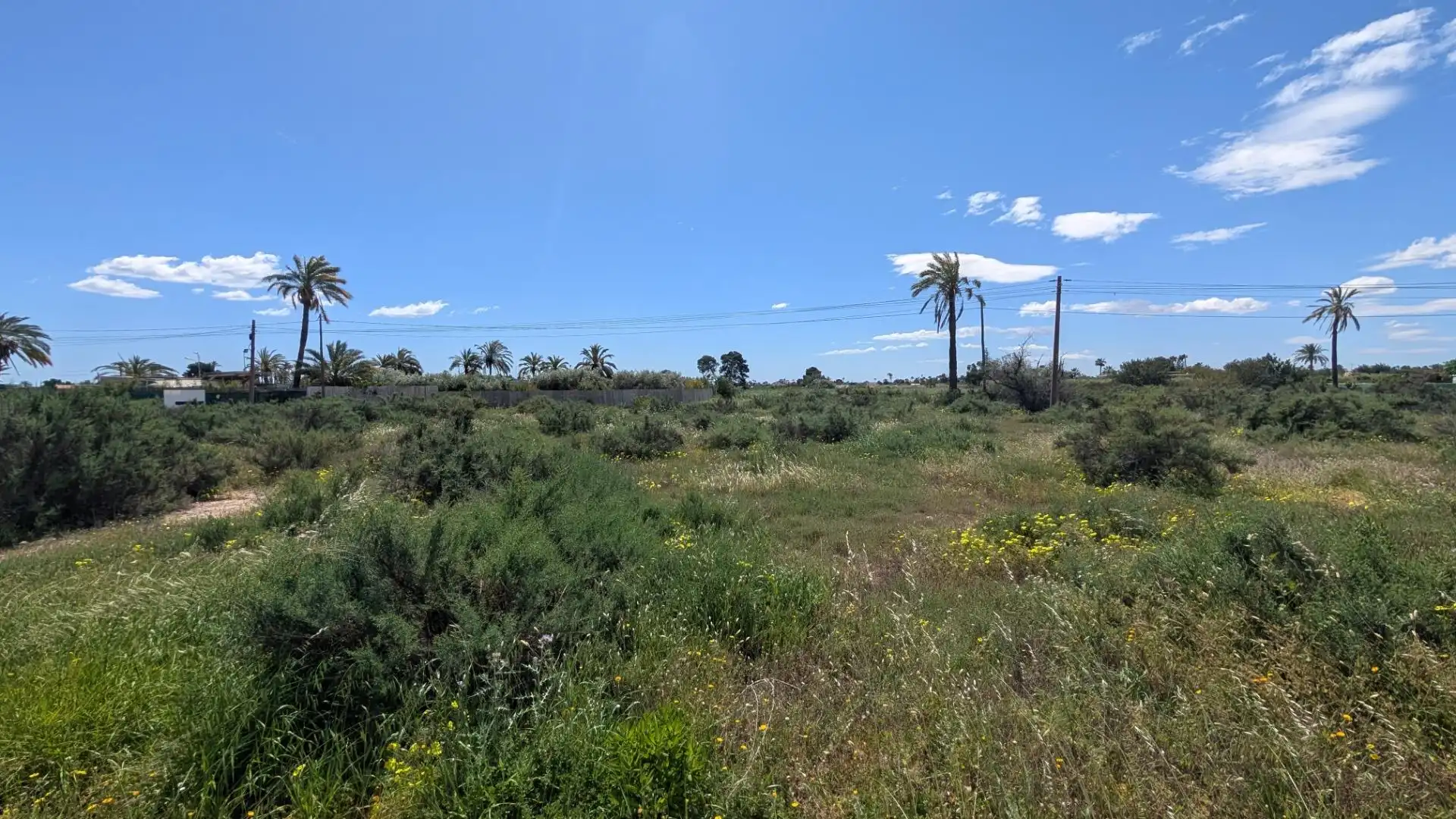 Terrain rustique à vendre à Alzabares, imagen 2