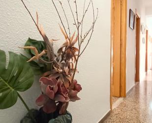 Flat for sale in  Almería Capital  with Balcony