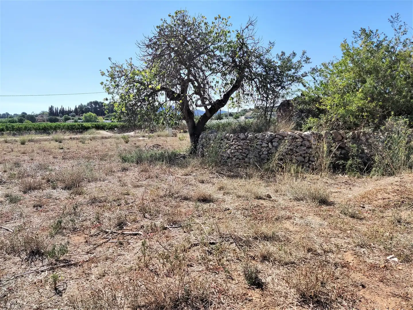 Rural land for sale in Carretera d'Amposta, imagen 22