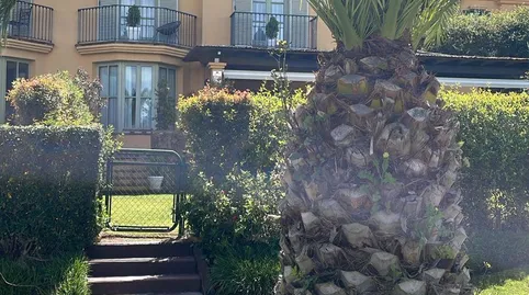 Foto 4 de Casa adosada en venta en Sotogrande Alto, Sotogrande