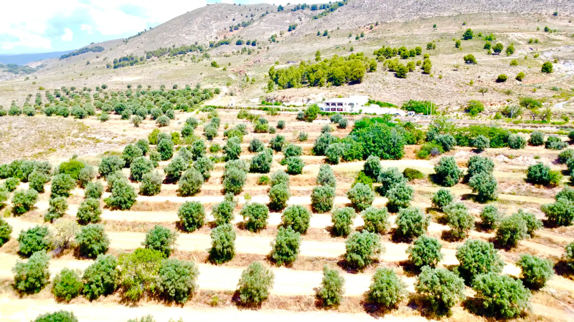 Houses for sale in Laujar de Andarax  with Air Conditioner, Private garden and Terrace