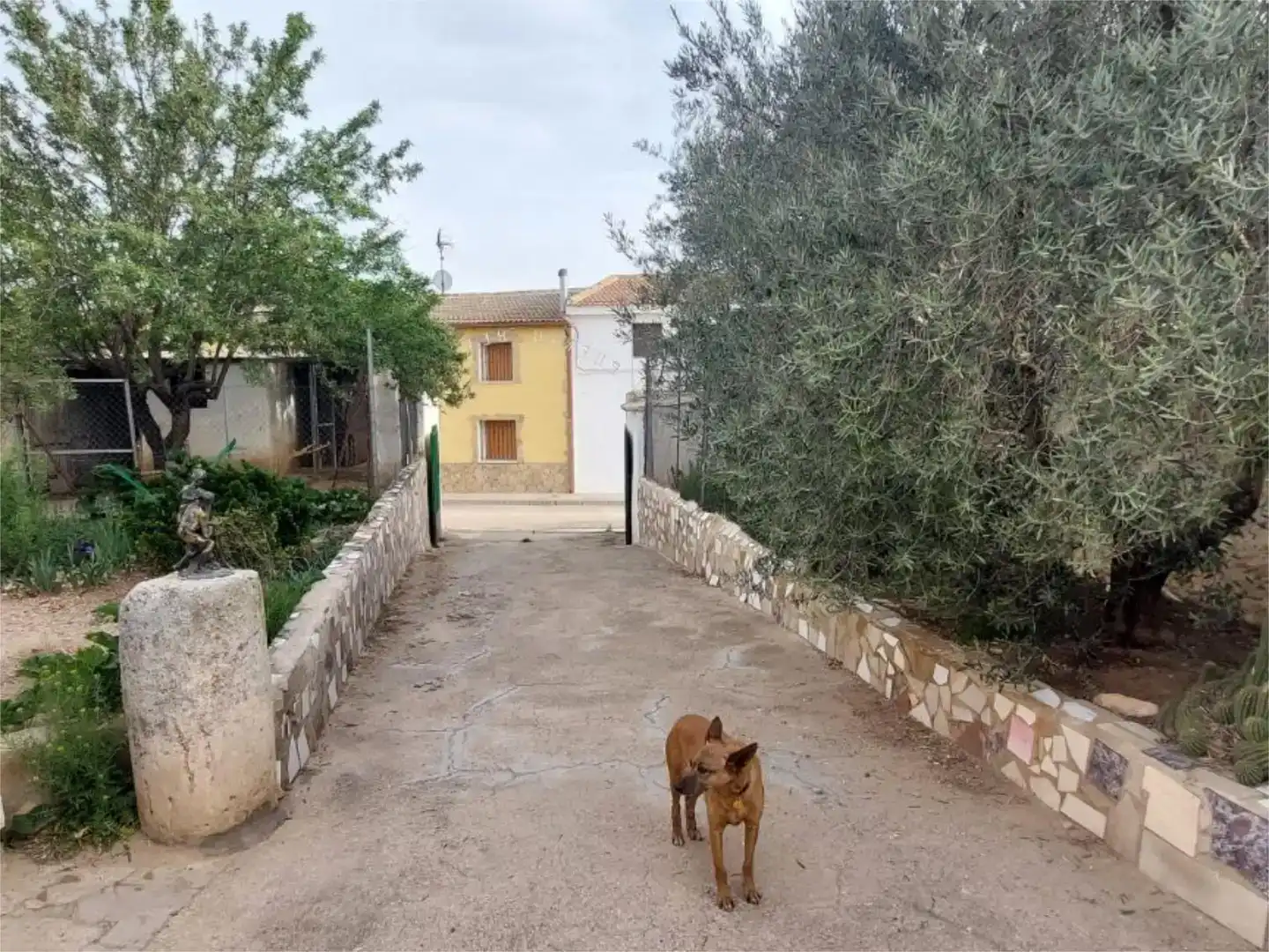 Vista exterior de Casa o xalet en venda en Balsa de Ves amb Jardí privat, Traster i Moblat