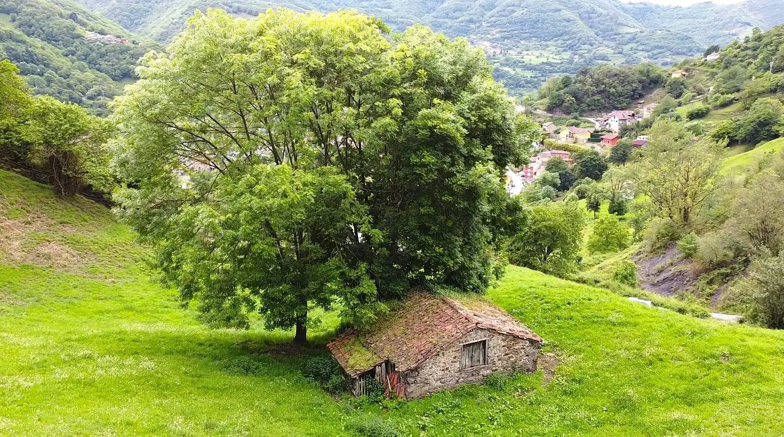 Vista exterior de Casa o chalet en venta en Aller con Jardín privado