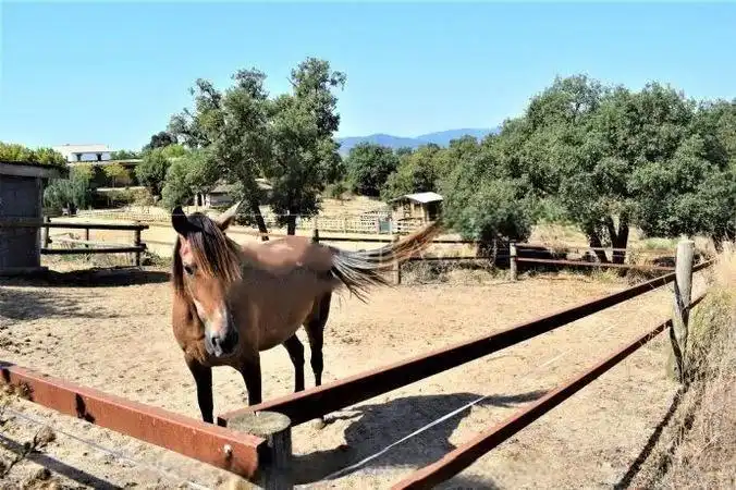 Terrenos y solares en venta en Mas Mora - Sant Daniel, imagen 48